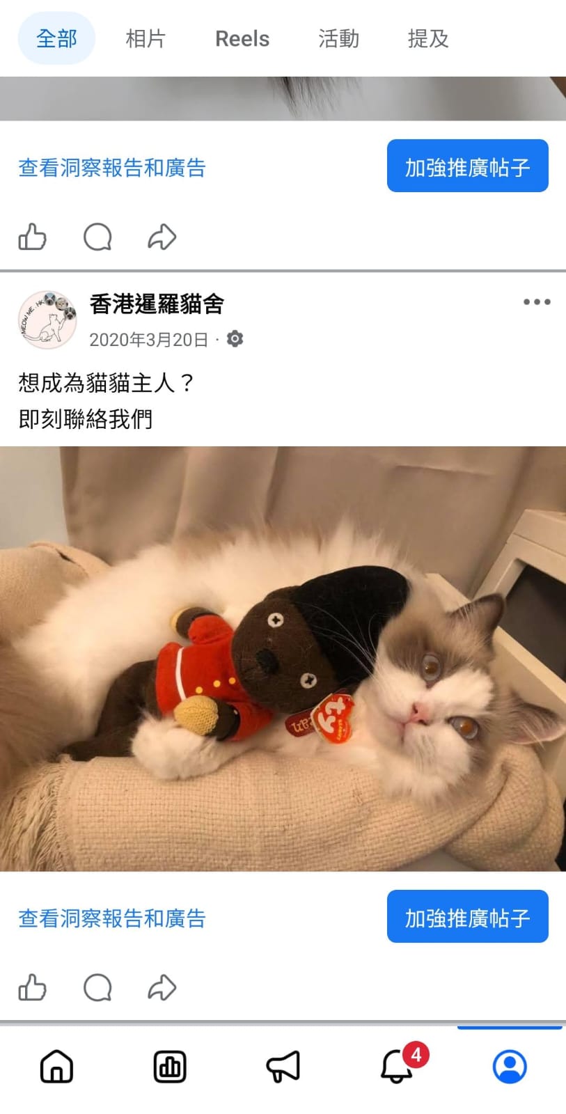 Meow Me Cattery 2020 年 3 月 Facebook 貼文截圖