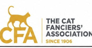 CFA 官方標誌